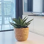 Lägenhet Christellie Luxury Kiáton